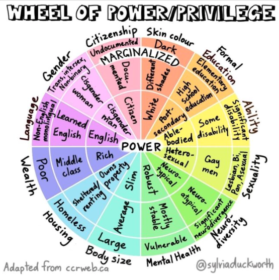graphic of a wheel divided into segments representing categories of power and privelege