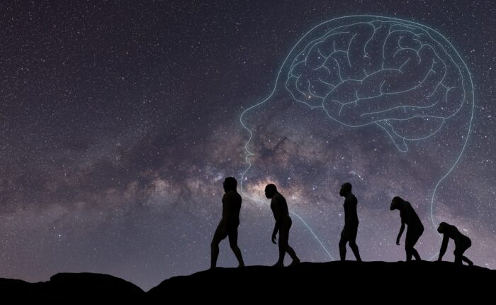 human evolution from monkey to man with starry sky in the background and silhouette of a head and brain