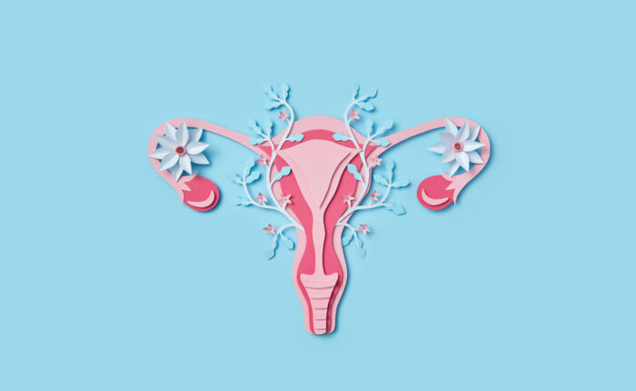 stylised uterus