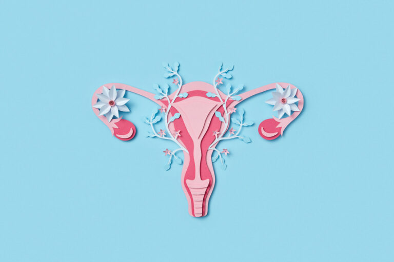 stylised uterus